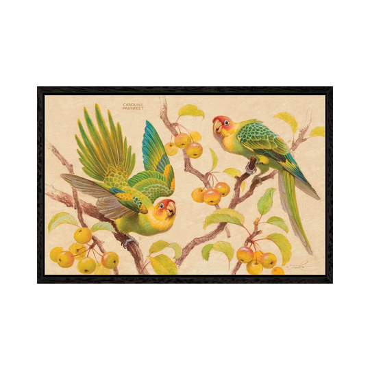 Tart Treats by Ezra Tucker - Graphic Art on Canvas