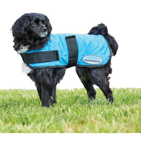 Weatherbeeta - Therapy-Tec Dog Cooling Coat (45cm) (Blue) - Blue