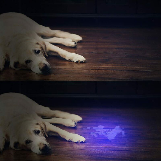 Uv Black Light Flashlight with 51 LEDs, Pet Urine Detector for Dry Spots from Your Dogs, Cats and Rodents on Carpets, Curtains, Furniture