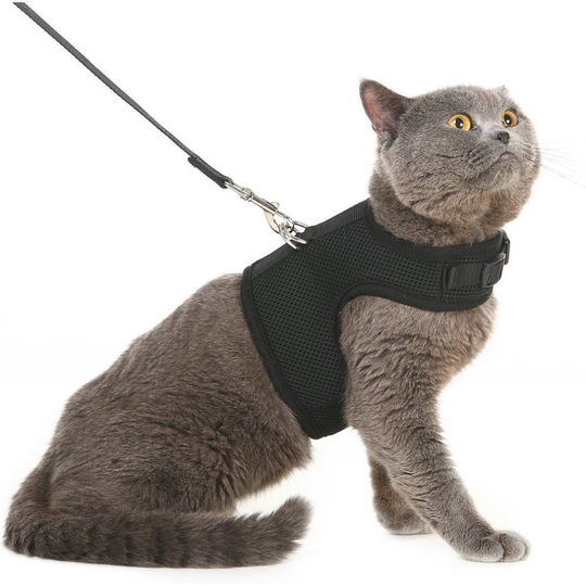 BINGPET Escape Proof Cat Harness and Leash - Adjustable Soft Mesh Holster Style - Best for Kitten Walking