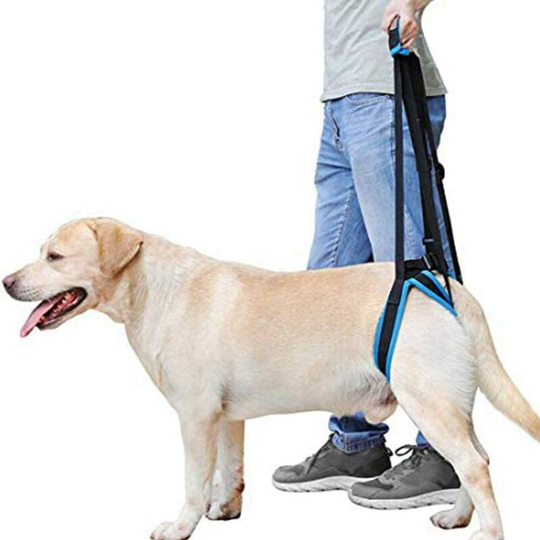 Perle Rare - Portable Dog Lift Harness with Support Strap to Help Dogs with Weak Hind Legs for Back and Recovery for Small and Large Dogs-S