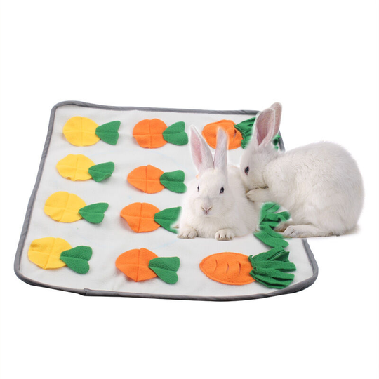 Fruit streak rabbit bird sniffing pad Size: 50 * 50 pet sniffing pad slow food training smell blanket educational toys foraging skills hamster