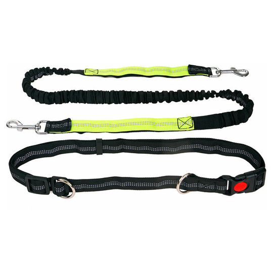 Leash from Jogging i Sports Dogs Leash i Leasses of Jogging Dog for Large And Means Dogs i Leave for Dogs