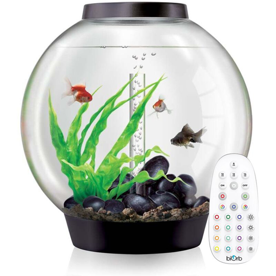 Classic 60L Aquarium in Black with mcr led Lighting - Biorb