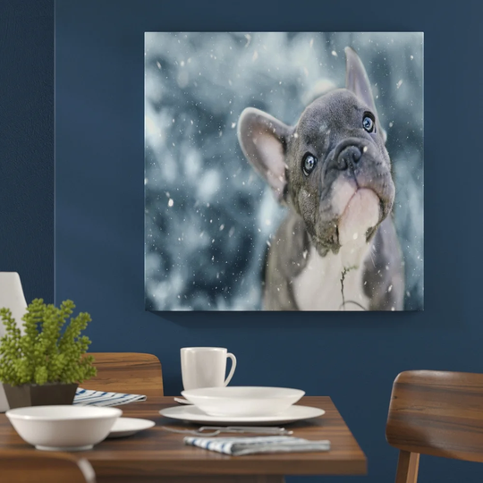 French Bulldog Puppy Photographic Art Print on Canvas