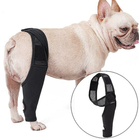 Dog Knee Brace for acl, Dislocated Knee, Arthritis - Keeps Joints Warm - Extra Support - Reduces Pain and Inflammation (xs)