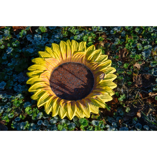 Briaca Bird Bath