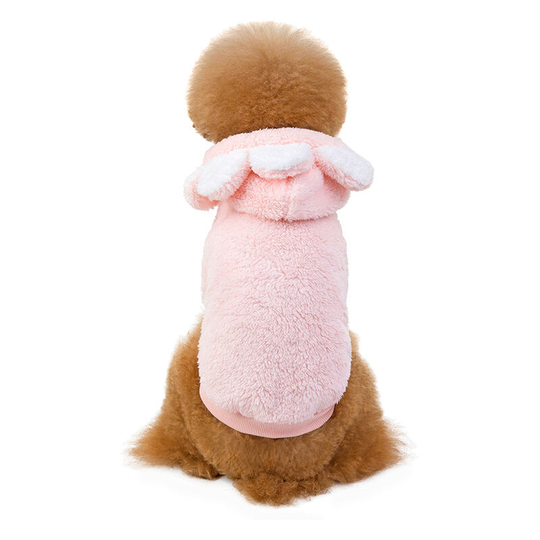 Pet two-legged double-sided fleece coat autumn and winter new Teddy Fighting small and medium-sized dog clothes sunflower pet clothes , m (chest 44',