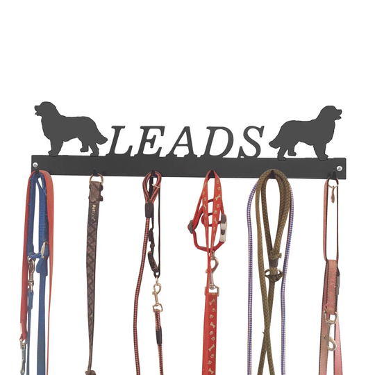 Alsatia Wall Mounted Coat Rack