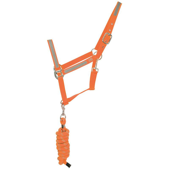 HyVIZ Reflector Head Collar and Lead Rope (Pony) (Orange) - Orange