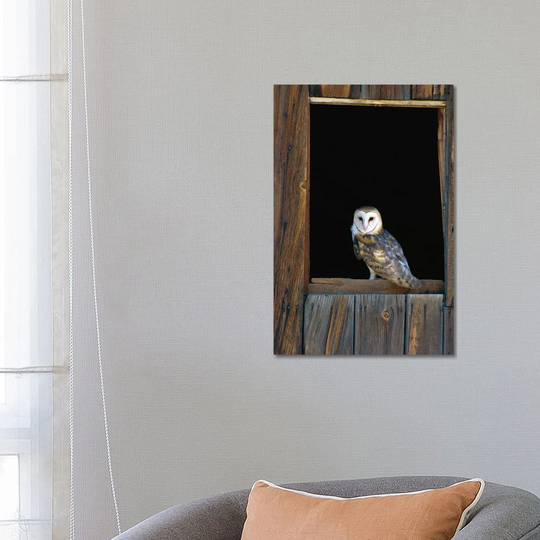 Barn Owl Perching on Barn Window, North America by Konrad Wothe - Unframed Graphic Art