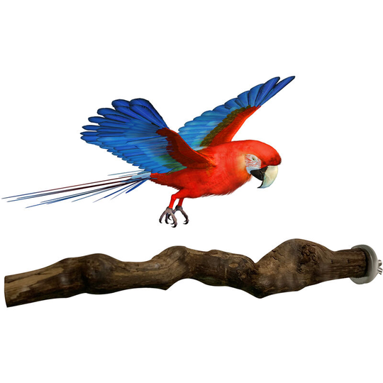Bird Perch Stand Bird Training Stand Bird Playstand Bird Cage Toys,model: Single Straight - model: Single Straight