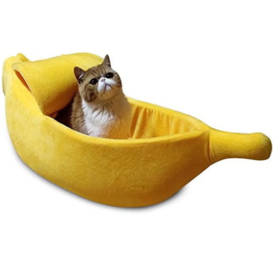 Kenwood Specialty Cat Bed