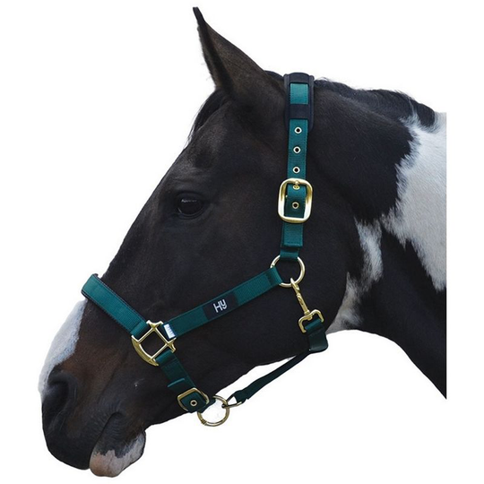 Hy Deluxe Padded Head Collar (Full) (Bottle Green) - Bottle Green