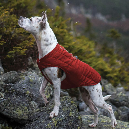 Kurgo - Loft Jacket - Xsmall Red/Charcoal