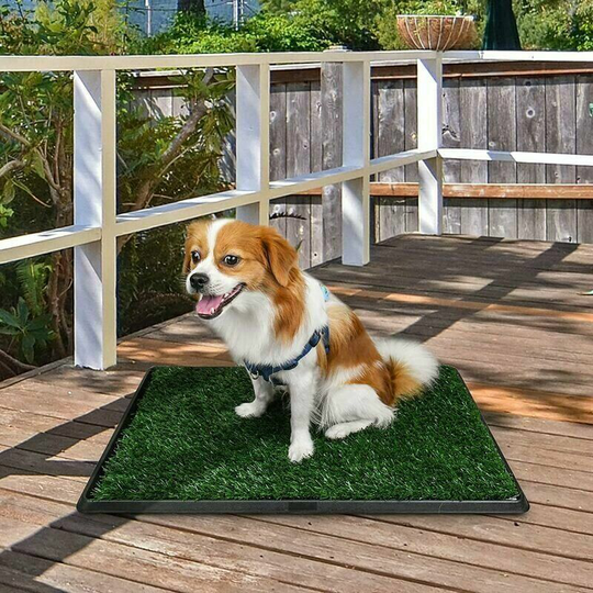 Briday - Dogs Lawn Toilet Dog Toilet Dog Potty Dog Toilet Washable Puppy Potty Puppy Toilet with Grass Mat 51x63cm Dog Mat, Cushion and Mattress