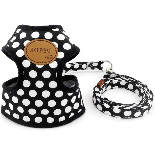 Nylon Leash and Soft Mesh Harness Set for Cats and Small and Medium Dogs