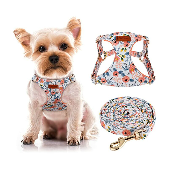 No Pull Floral pattern Dog Harness- Lightweight and Soft Dog Harness, Adjustable Small Dog Harness and Leash Set, with Dog Leash, Suitable for Puppy