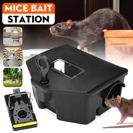 Plastic Rat Mouse Mice Rodent Bait Block Station Box Trap Cage & Key for Home Warehouse Hotel