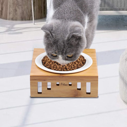 Ceramic with Stand Elevated Feeder