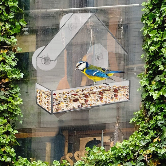Acrylic Clear Window Bird House Shape Seed, Nuts Tray Feeder - Easy To Fill And Clean - Suction Cups And Transparent Viewing - Drainage Holes And Supe