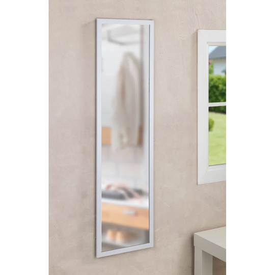 Loomis Plastic Framed Over The Door Full Length Mirror