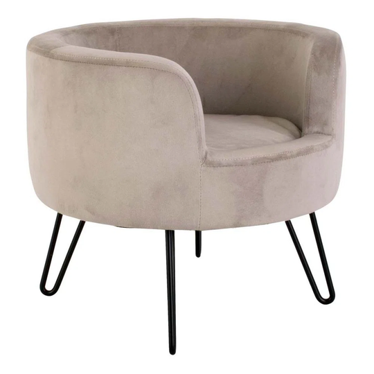 Whiling Pet Chair in Brown