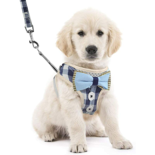 Betterlifegb - bette Dog Harness and Leash Vest, Soft Mesh Padded Puppy Harness, Adjustable Breathable Anti Pull Harness Vest with Bow Tie for Puppy