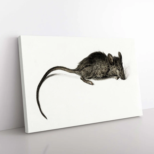 Mouse by Jean Bernard - Wrapped Canvas Painting
