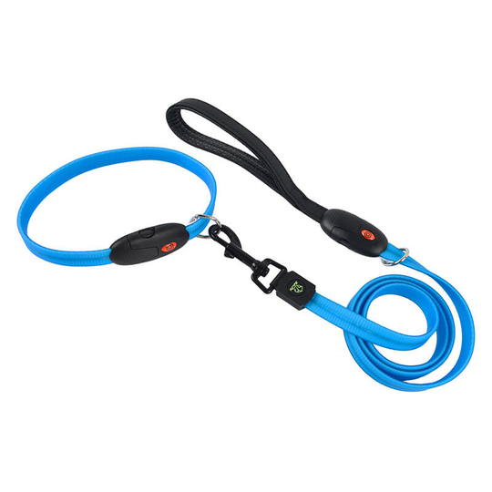 Pet Light Emitting Leash Collar usb Charging Leash Dog Walking Collar Blue