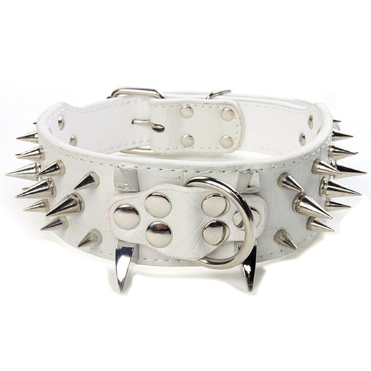 Dog Collar Black Spikes Encrusted Luxurious Padded Leather Collar,
