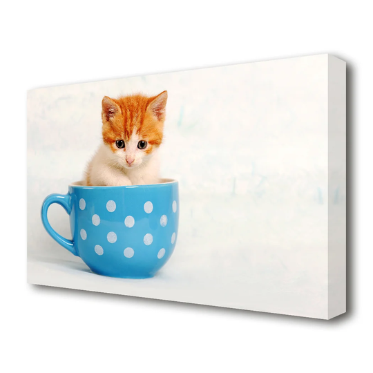 Tea Cup Kitten Cat Wildlife - Wrapped Canvas Photograph Print