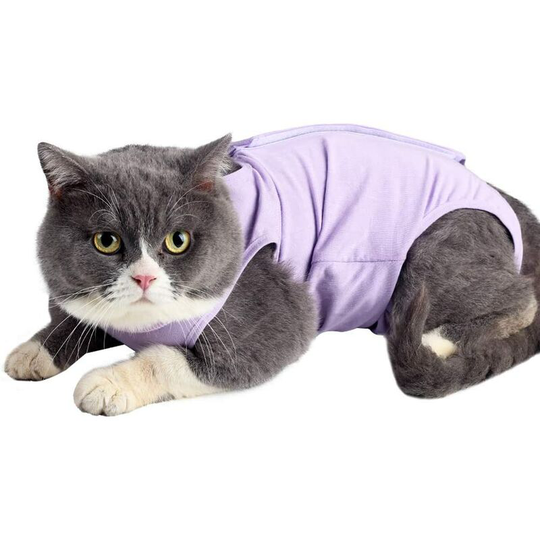 Cat Recovery Suit with Anti-Lick Belly Wound Soft Inner Pet Clothing e Collar Alternative for Pet After Surgery l.