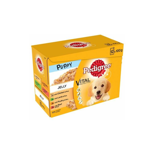 97537 - ped pch puppy jelly 12PK 100G x 1