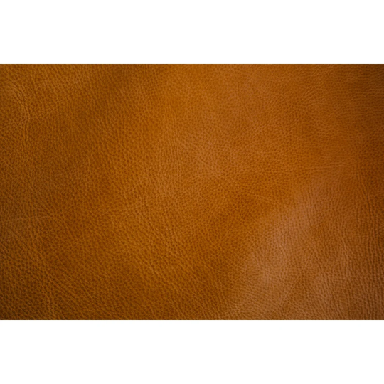 Niobrara Dog Sofa