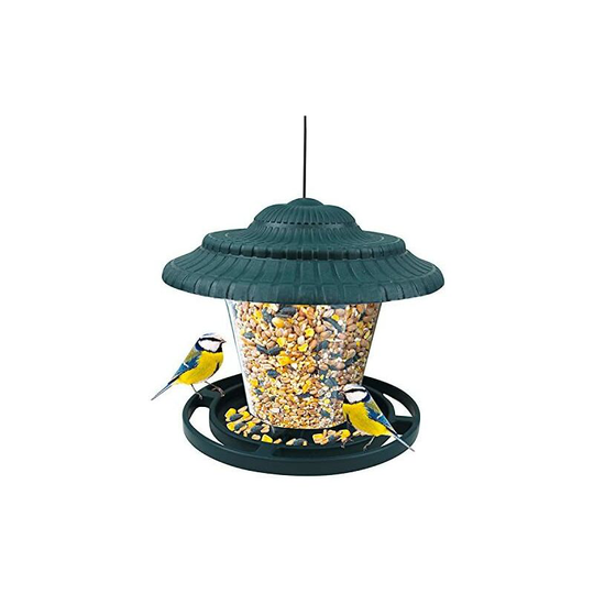 Bird feed, garden accessory, park