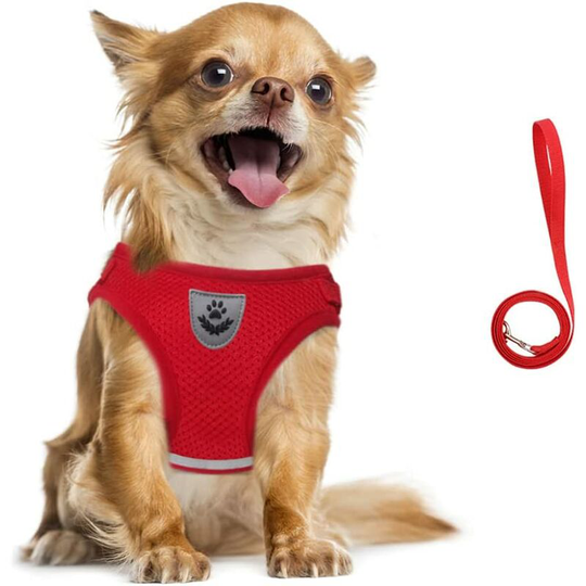 Betterlifegb - Harness and Leash For Dogs, Sweet Mesh Harness Set For Puppies and Cats, Respiratory Adjustable Interior Rebuilding Jacket For