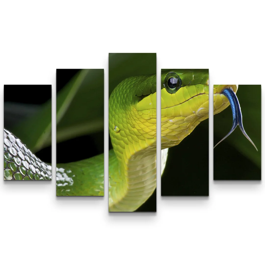 Green Arboreal Rat Snake Photographic Print Multi-Piece Image on Canvas