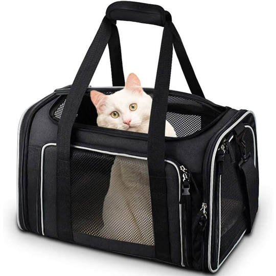 Bearsu - Cat Carrier, Pet Carrier Airline Approved Pet Carrier Bag Collapsible 15 Lbs Dog Carrier for Small Medium Cats Dogs Puppies Kitten - Black