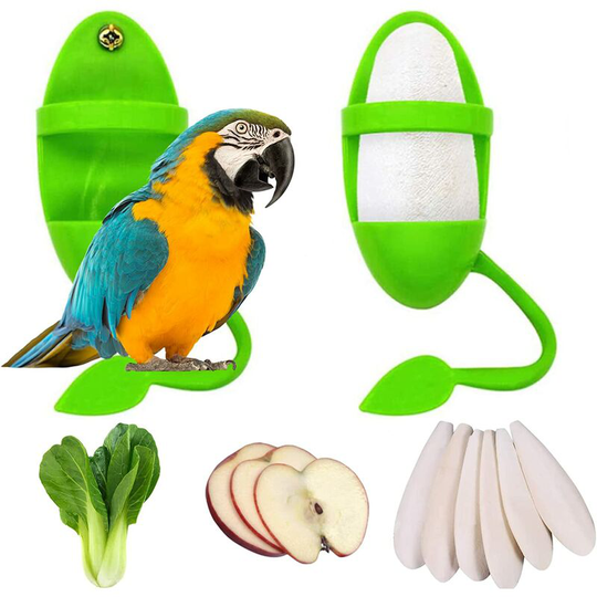 2pcs Bird Parrot Cuttlebone Holder for Bird Parrot Cockatiels Parakeets Supplies (No cuttlefish bones)