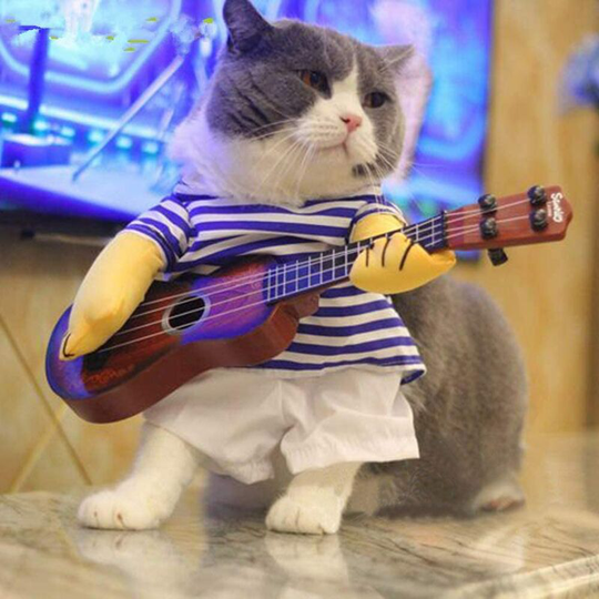 Funny Costumes for Dogs and Cats - Pet Halloween Costumes - Coats and Jackets - Pet Gifts (l)