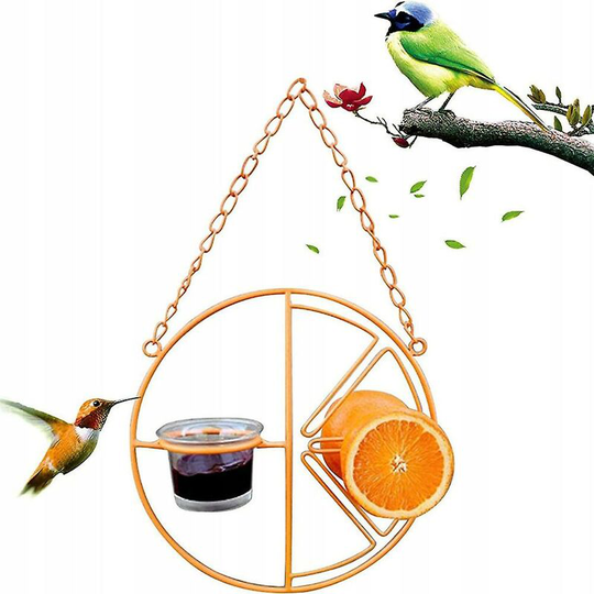 Koliber Bird Feeder On The Open Air Bird Cage Food & Water Dishes