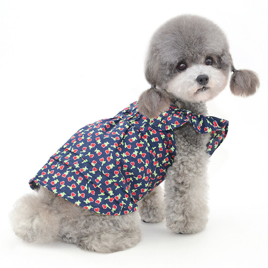 Benobby Kids - Japanese and Korean style pet clothes puppy clothes new dog skirt pet skirt Boomerang vip Teddy clothes m (chest 35', neck 28', back