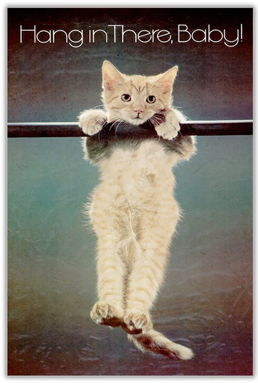 Kitten Hang in There Baby Graphic Art on Wrapped Canvas
