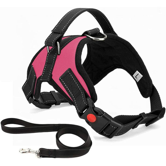 No Pull Dog Harness Breathable Adjustable Comfort Free Lead Included for Small Medium Large Dog Best for Training Walking l Pink