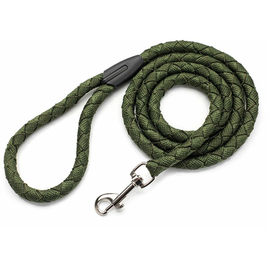 Nylon Weave Dog Leashes Easy to Control Non-elastic Superb Hardware Accessories Multiple Color to Choose green