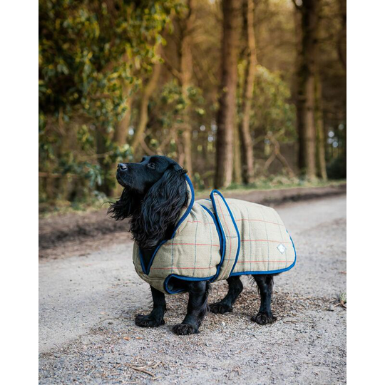 Danish Design - Tweed Dog Coat - 55 Cm (22') - DC55TW