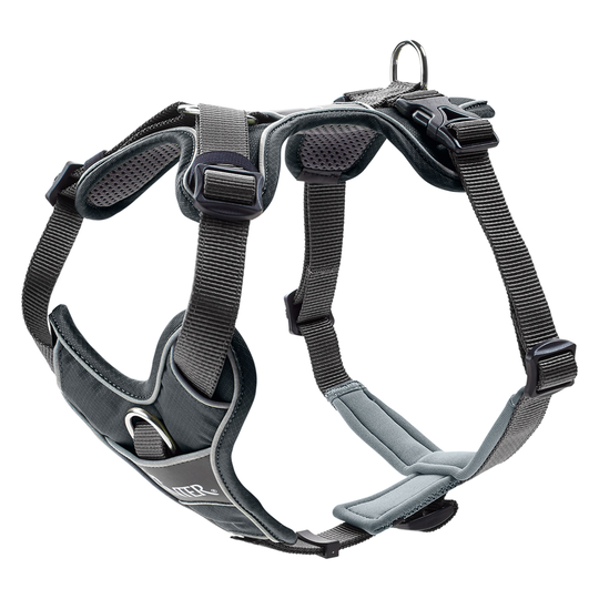HUNTER Divo Harness - Grey - Size L: 72 - 100 cm Chest Circumference