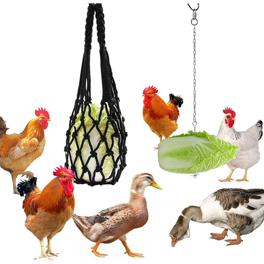 2pcs Chicken Feeder Mesh Bag Fruit Vegetable Feeder Stainless Steel Chicken Feeder Chicken Toy Chicken Accessories Duck Geese Bird Feeder