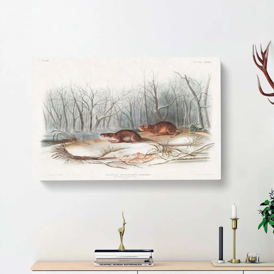 Meadow Mouse by J.W. Audubon - Wrapped Canvas Painting Print